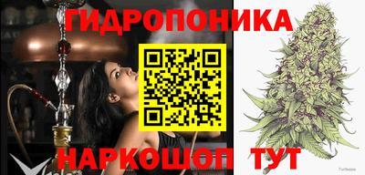 дурь Будённовск