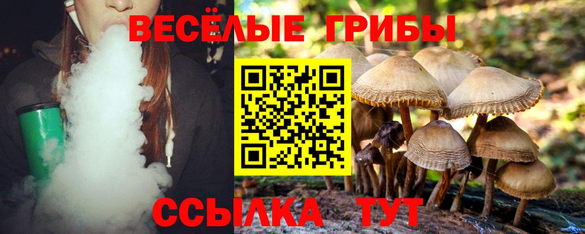 Псилоцибиновые грибы мицелий Унеча